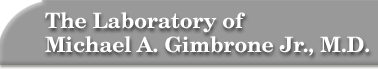 The Laboratory of Michael A. Gimbrone Jr., M.D.