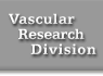 Vascular Research Division